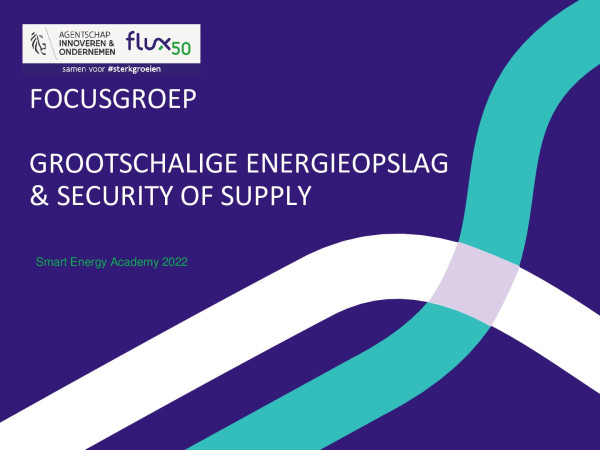 3_03. Flux50 focusgroep grootschalige energieopslag